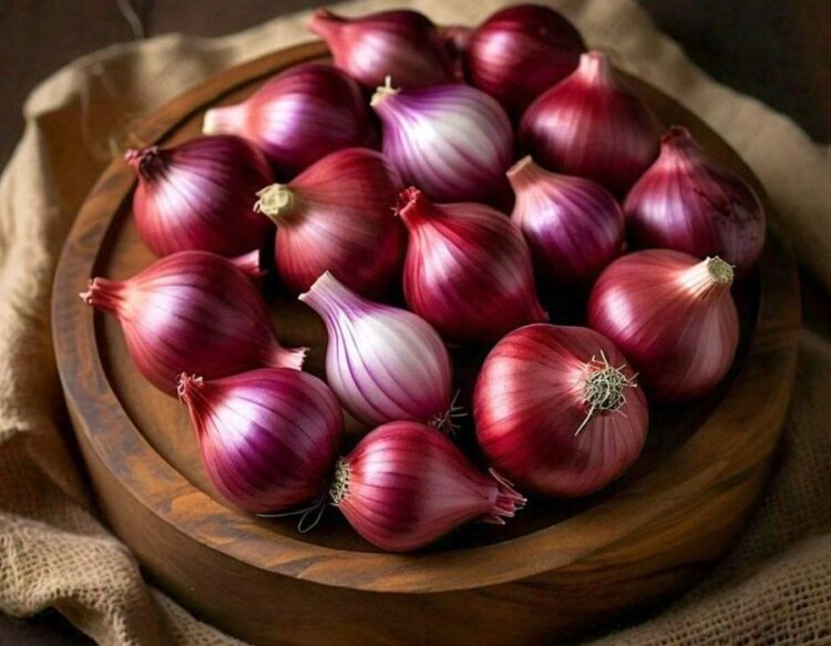 Onion price